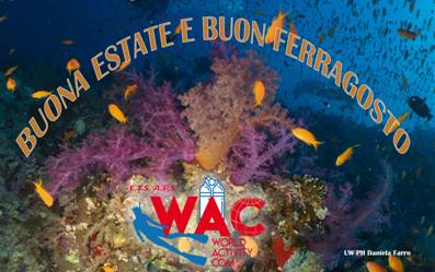Buon Ferragosto dal WAC Buon Ferragosto dal WAC