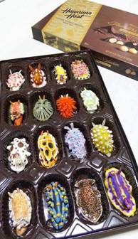 Buona Pasqua