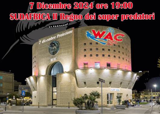 FESTA WAC 7 DICEMBRE 2024