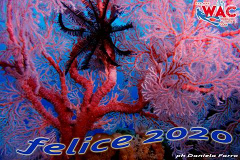 Felice 2020
