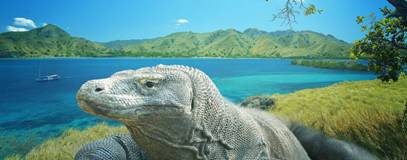 INDONESIA BALI KOMODO 2017