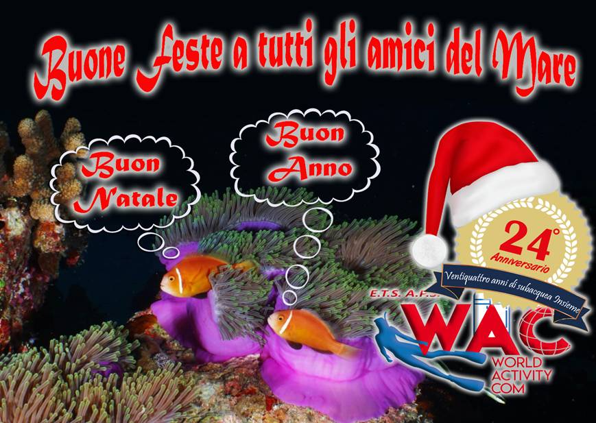 INFOWAC15 24