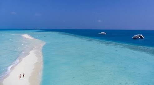 Maldive