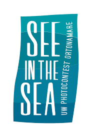 SEEINTHESEA Ortona SUB
