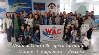 TARTARUGHE MARINE L.CAGNOLARO TARTARUGHE MARINE L.CAGNOLARO