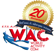 WAC 2021