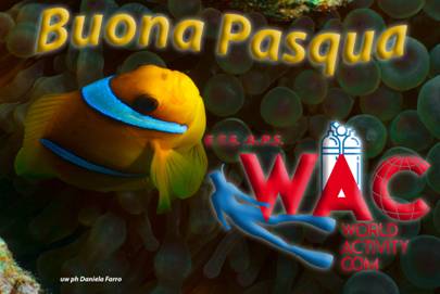 Buona Pasqua 2025 da WAC Buona Pasqua 2025 da WAC