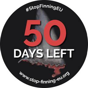 stop finning