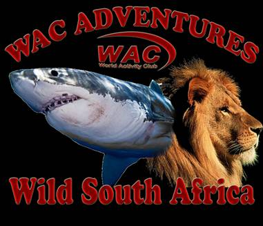 south_africa.jpg