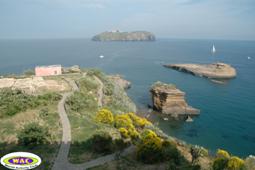 ventotene.gif