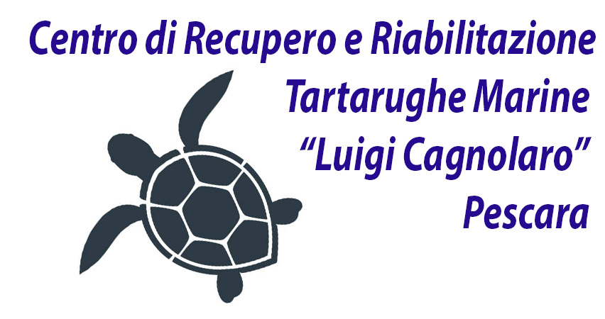 CMRT "LUIGI CAGNOLARO" PESCARA tartarughe